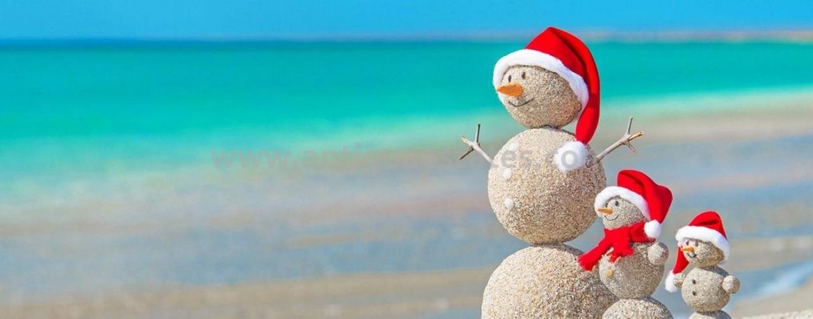 -lets-go-to-the-beach-christmas-parties